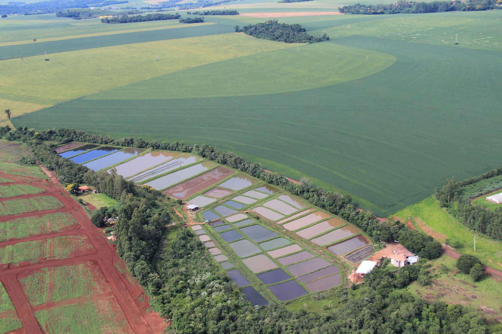 Vista aérea da propriedade da Aquicultura Venites em Toledo/PR